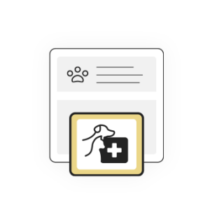 Pet Insurance icon